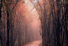 开云体育中国-瑞典战火重燃：乒乓江湖新篇章，张本智和逆境突围的传奇瞬间