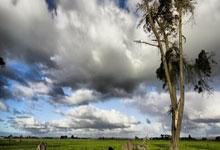 -加拿大横扫法国，德容关键制胜：一场震撼世界的篮球盛宴